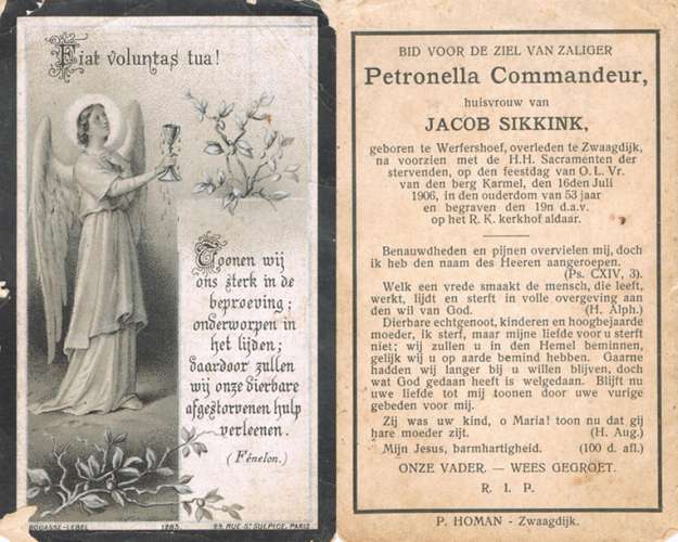 Scan