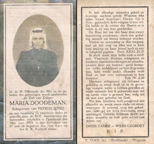 Scan